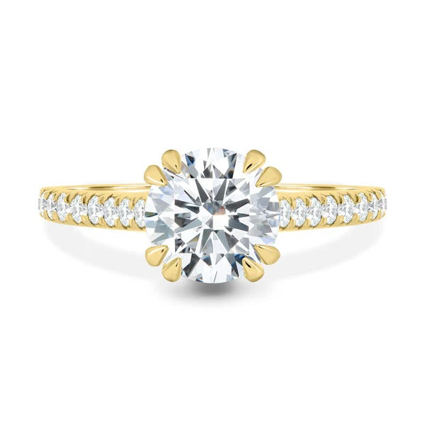 Cathedral hidden halo pave round ring side view