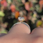 Load and play video in Gallery viewer, Round Cut Moissanite Split Shank Engagement Ring Pave Wedding Ring