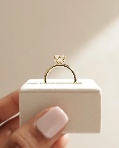 Six petal claw round diamond solitaire ring side profile