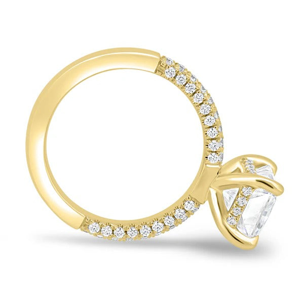 Hidden halo and three row pave band visible in side profile