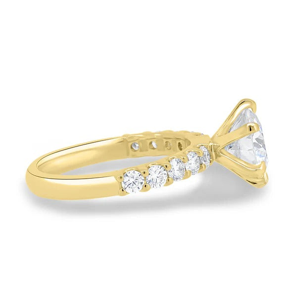 Side view showing six claws and graduated shared prong accents