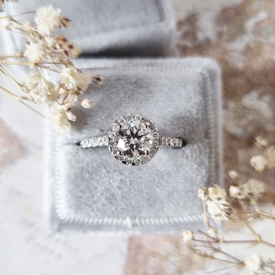 Round cut lab grown diamond halo ring on a pave band in white metal