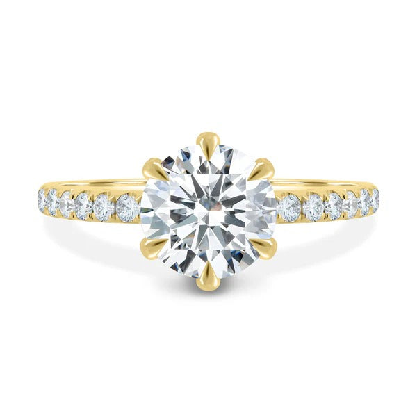 Six claw round brilliant diamond pave band ring detail