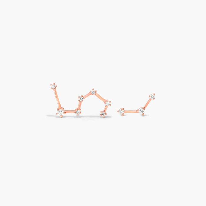 Leo Constellation Moissanite Stud Earrings - view 2