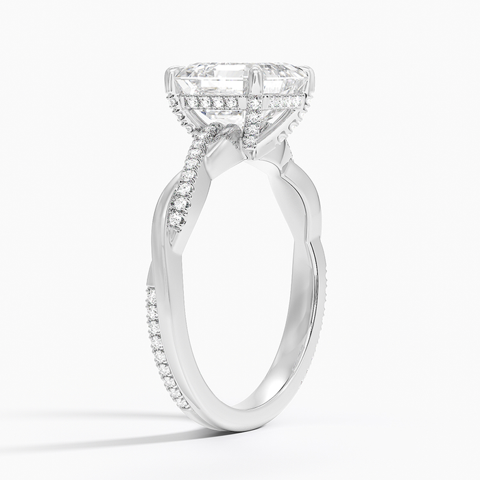 Side view showing the hidden halo and the paved strand winding past the plain one